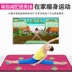 Sheng dance hall dance dance machine sử dụng kép không dây đôi mat mat TV giao diện yoga tay nhảy chân nhà - Dance pad Dance pad