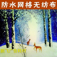 Живопись ткани 防水网格无纺布/写真喷绘材料/室内装饰喷画个人写真影楼后期制作