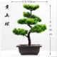 Серебряный 5 вилок Huangshan Pine