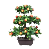Dazhong Simulation Fruit Pot green Plastic Пластиковый фальшивый дерево Fortune Bonsai Apple Orange Taozi Taozi гостиная качели