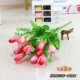 Розовая магнолия почучивает кучу цен