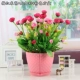 Plum Red Rice Bud+Eugali+Fan Fang Pen