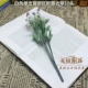 10 белая лаванда