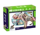 4D Thạc Sĩ wolf dog giải phẫu lắp ráp mô hình đồ chơi giáo dục trường khoa học hỗ trợ giảng dạy diy mô hình tĩnh tại chỗ xe đồ chơi cho bé Chế độ tĩnh