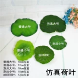 Колготки, цветок лотоса, шлем, трубчатый манжет, «сделай сам», лягушка