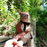 Бесплатная доставка INS Ultrafire Улучшенная эксклюзивная белка черная хвостовая тяговая мышевая веревка мыши может регулировать размер долговечного раскола