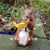 Бесплатная доставка INS Ultrafire Улучшенная эксклюзивная белка черная хвостовая тяговая мышевая веревка мыши может регулировать размер долговечного раскола