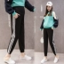 Váy bà bầu xuân hè 2019 cộng với quần legging cotton rộng mút mặc cho bà bầu dạ dày quần nâng quần giản dị 200 kg - Phụ nữ mang thai quần / quần bụng