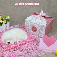 Маленькая __ розовая ткань Pure White Sleep Dog - подарочная коробка