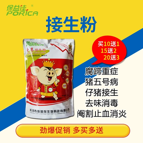 Звери Лянгзи с свиньями с поросятами поднимают сырую порошковую пеню