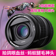 Tuổi ếch 60MMF2.8 micro SLR 2 lần macro ống kính bằng tay chân dung cố định focus full khung hoa côn trùng máy ảnh