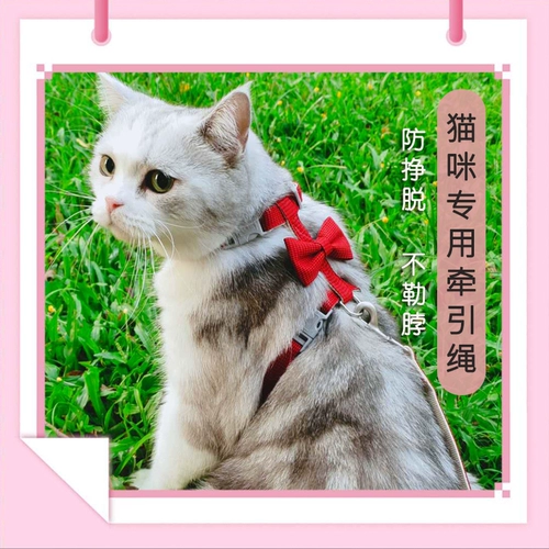 Регулируемые милые подтяжки для выхода на улицу с бантиком, цепочка