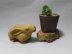 Bộ sưu tập để chơi Yixing cát màu tím trà pet điêu khắc đồ trang trí handmade chơi trà Vàng Thỏ thỏ Hoàng Đạo chất lượng cao phần bùn bình trà đất Bình đất sét