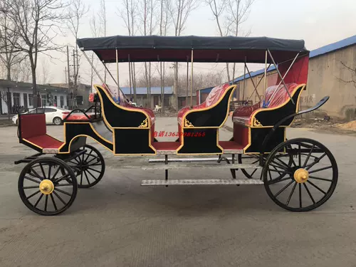 Продажа изысканной туристической туристической перевозки в стиле европейского стиля настоящая каретка живописные места, туристический туризм, туристический свадебный прием пищи.