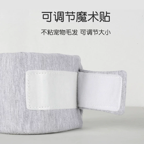 Собаки и собаки годы