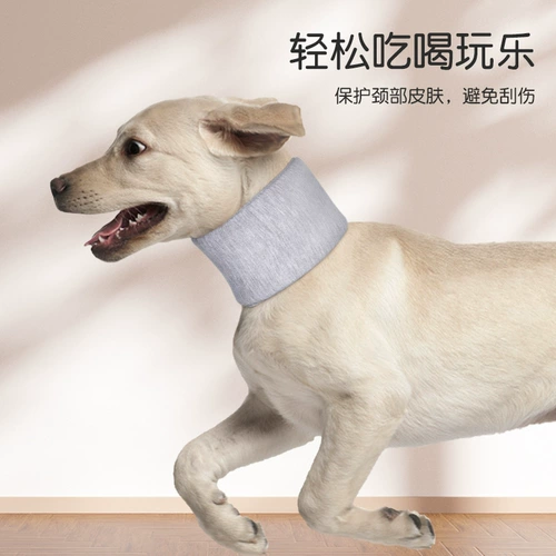 Собаки и собаки годы