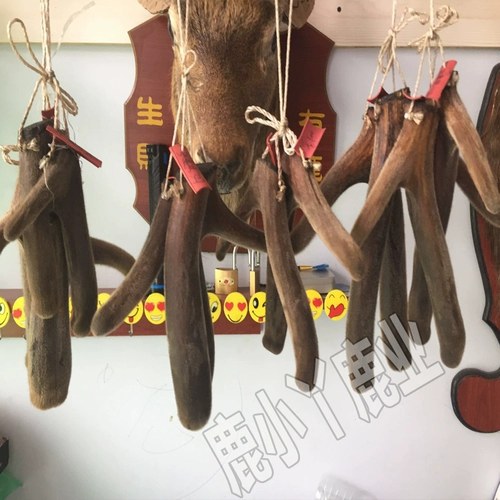 Meihua Deer ветви, стерна два бара, сушеный бархатный рога с бархатным рога для крови, можно использовать с кусочками кровяных кровей оленей и пищевыми продуктами для вина