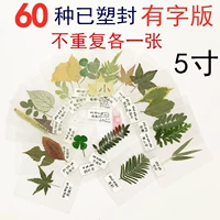 60 больших листьев (этикетки пластиковой ленты)