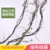 Mô phỏng cành cây lá xanh hoa mô phỏng trang trí tường mây xanh trang trí cây nho khô cành cây cảnh cong - Hoa nhân tạo / Cây / Trái cây Hoa nhân tạo / Cây / Trái cây