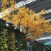 Mô phỏng Ginkgo biloba lá trang trí lá giả cành cây nhựa 绢 hoa lá cưới màu vàng trắng - Hoa nhân tạo / Cây / Trái cây