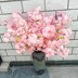 Mô phỏng hoa anh đào cưới cây anh đào lớn trong nhà phòng khách điều hòa không khí trần trang trí sàn nhựa giả hoa mây - Hoa nhân tạo / Cây / Trái cây bình hoa giả đẹp để phòng khách Hoa nhân tạo / Cây / Trái cây