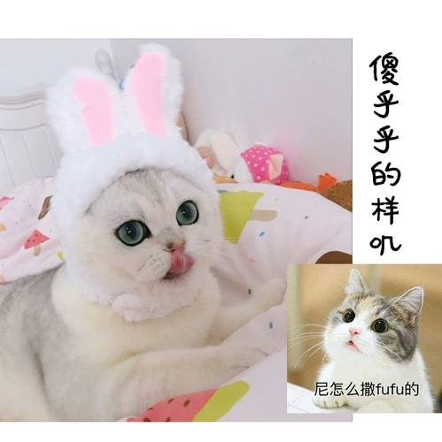 Милый кролик, шлем, аксессуар для волос, шапка, кот, домашний питомец