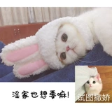 Милый кролик, шлем, аксессуар для волос, шапка, кот, домашний питомец