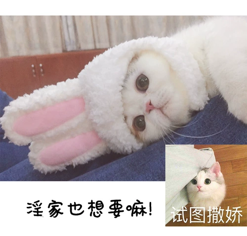 Милый кролик, шлем, аксессуар для волос, шапка, кот, домашний питомец