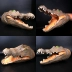 Mô hình động vật đồ chơi cao su mềm cá sấu găng tay biển động vật rối mềm miệng nhựa quà tặng giáo dục - Đồ chơi gia đình