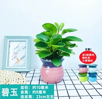 Яшма + цветная фарфоровая раковина (керамика)