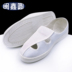 Minxin giày chống tĩnh điện không bụi vải giày bốn lỗ giày sạch giày thực phẩm bảo hiểm lao động giày lao động màu trắng xanh 
