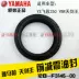 Yamaha YBR Tianjian Wang 250 bản gốc phuộc trước dầu giảm xóc trước giảm xóc dầu YS Feizhi 250 phớt dầu gốc - Xe máy Bumpers giá phuộc nhún xe sirius Xe máy Bumpers