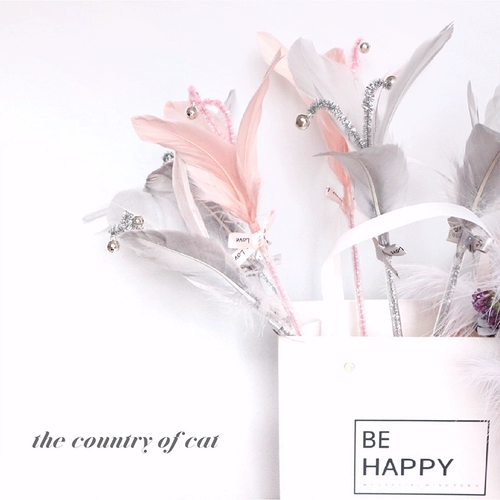 Hua Rui Feather Original Frong Cat Sticks забавные игрушки для кошек Fat Binga Cat Любимая фея [Бесплатная доставка]