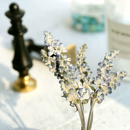 Огненная лакер Уплотнение конверт декоративный цветок маленький свежий приглашение писать цветочная сумка DIY Приглашение уплотнение декоративное цветок