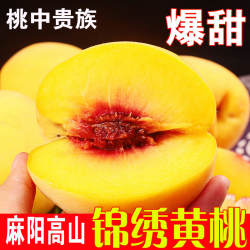 湖南怀化麻阳高山锦绣黄桃5斤