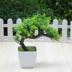 Cây mô phỏng chào đón cây thông nhỏ trong chậu bonsai trang trí nhà cây nhỏ nhựa giả hoa trang trí quà tặng sáng tạo - Hoa nhân tạo / Cây / Trái cây lan giả hạc đột biến Hoa nhân tạo / Cây / Trái cây