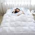 Túi ngủ người lớn du lịch bẩn trong nhà du lịch ngoài trời ánh sáng di động mỏng khách sạn giường đơn giản bông Túi ngủ