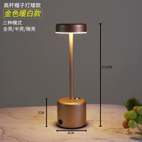 Золотая (низкая сталь из нержавеющей стали) теплый белый свет+зарядное устройство