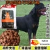 Thức ăn cho chó loại chung 40 kg chó ngao Tây Tạng Chow Chow Chowdon sói xanh chó lớn và trung bình chó con trưởng thành thức ăn cho chó 20kg - Chó Staples hạt natural core Chó Staples