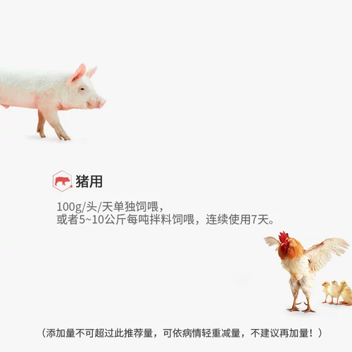 Dragon Dragon, способствуя многоотражающему ласточке E Estrus продвижение поощрения, способствуя точке, способствуя беременности чистая традиционная китайская свинина свинина 1 кг