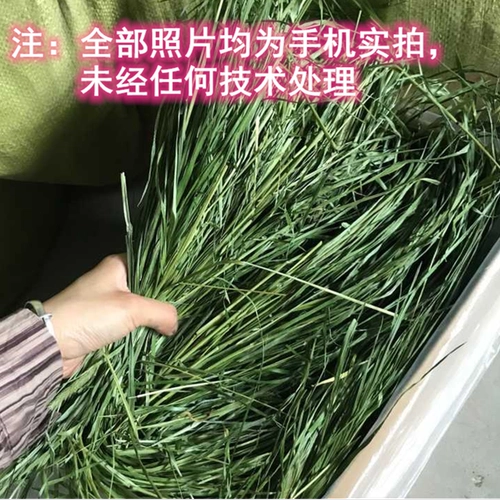 2025 Новая сушена