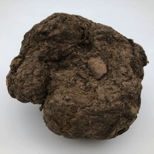 [Источник Баозхенг] Pure Changbai Mountain Wild Poria Dry Products 250 граммов могут быть вырезаны