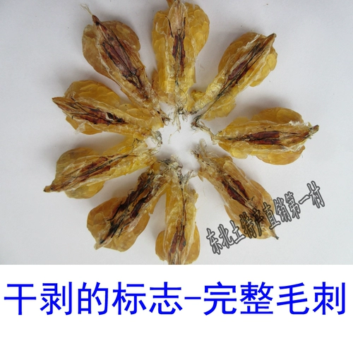 Снежный моллюско