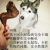Đồ ăn nhẹ vật nuôi mol thanh nhai mutton con chó bông bomeijinmaosamo con chó canxi khử mùi đào tạo con chó