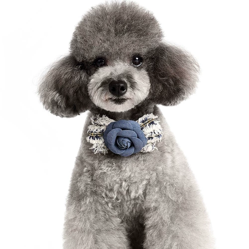 Золотые бархатные цветы, луки, воротничные воротнички цветочные плюшевые щенки маленькие ювелирные аксессуары для собак