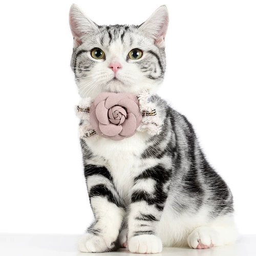 Золотые бархатные цветы, луки, воротничные воротнички цветочные плюшевые щенки маленькие ювелирные аксессуары для собак