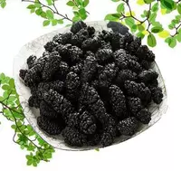 Food -Grade Fresh Mulberry Mulberry Disced Mulberres