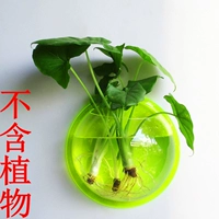 Темно-зеленый