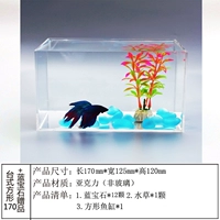 Настольный квадрат 170+ сапфировый подарок