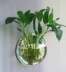 Sáng tạo bình hoa hoa bình hoa đứng acrylic tường sticker cây xanh vườn hoa chậu hoa chuông vàng liễu mô phỏng bình cắm hoa thủy tinh Vase / Bồn hoa & Kệ